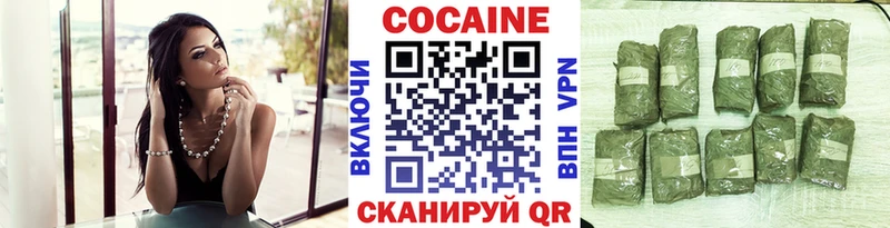 Купить  Губкинский  Cocaine Эквадор 