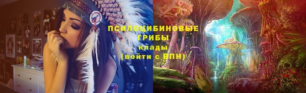 мяу мяу мука Верея