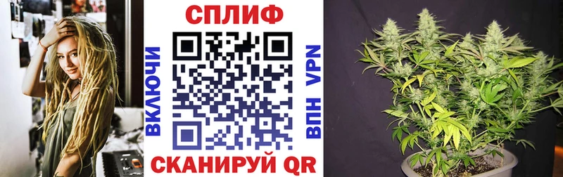 Бошки Шишки MAZAR  Купить закладки  Губкинский 